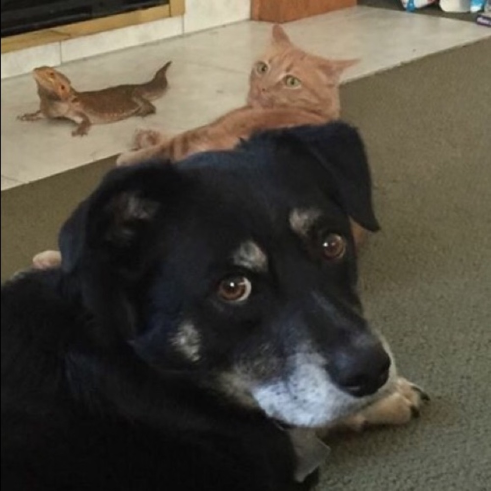 Meet your Posher, Autumn